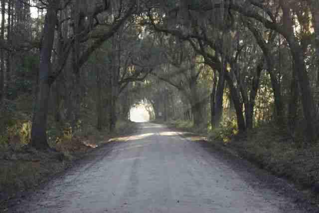 400-year old, Old Sunbury Road
