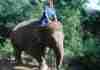 Review: Baanchang Elephant Park – Private Day Tours – Chiang Mai, Thailand Fun with the Elephant!