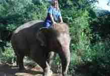 Fun with the Elephant!