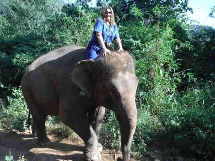 Fun with the Elephant!