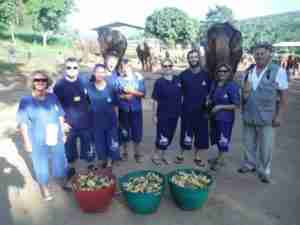 Our group at the Baanchang Elephant Park.