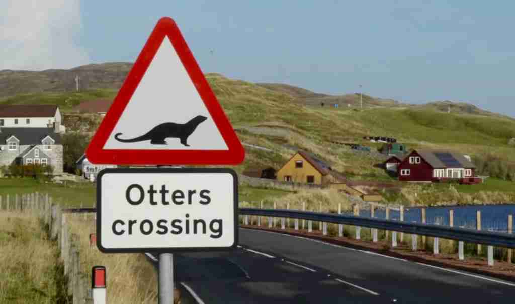 Otter sign, Shetland
