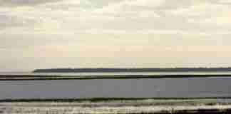 The Sunbury Sound at High Tide