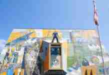 Coquimbo’s Colorful Soul: Captivating Street Art CoQumibo, Chile