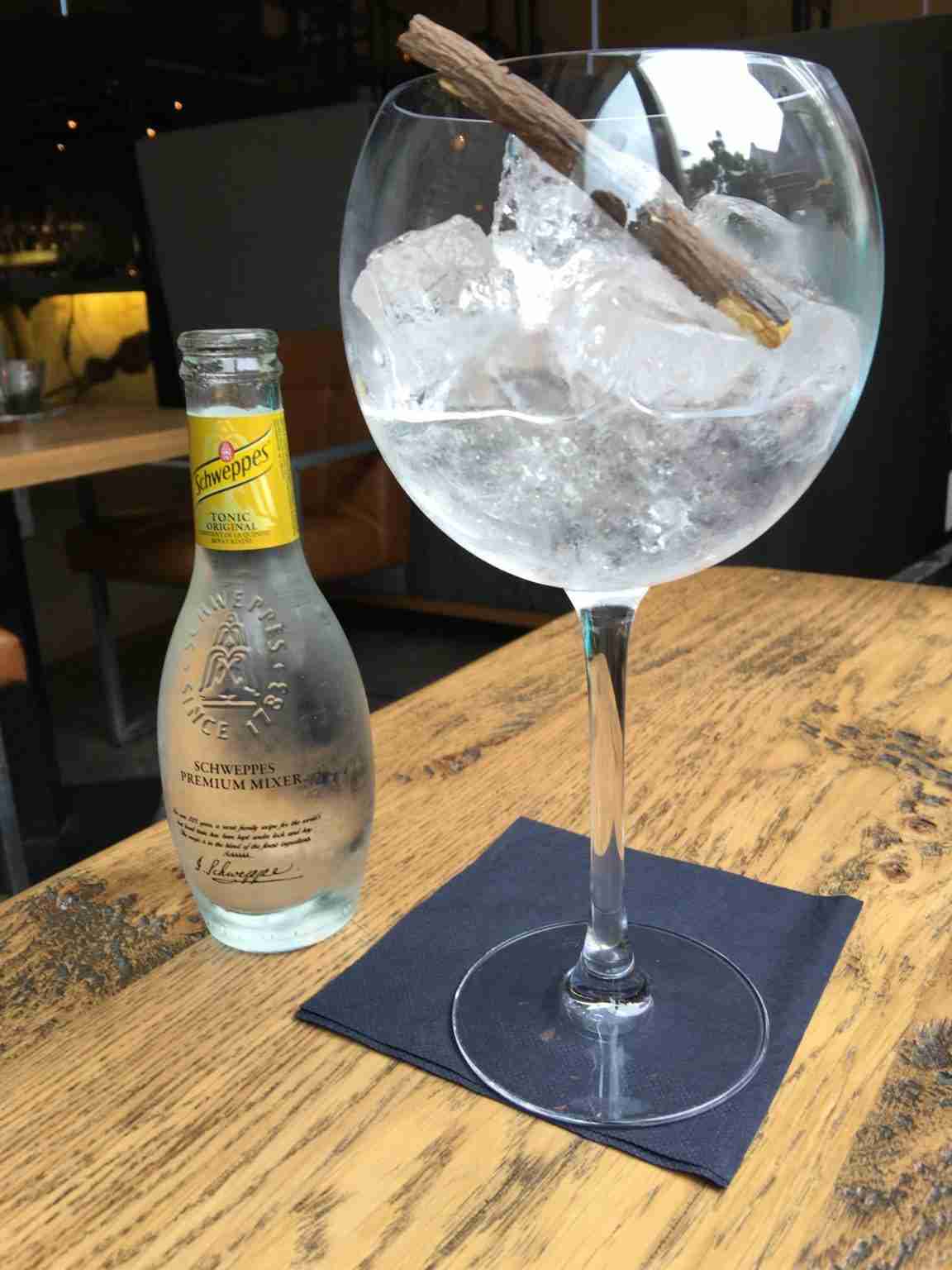 Gin & Tonic with Dutch Sweetwood, Hugh's, Rotterdam, Holland